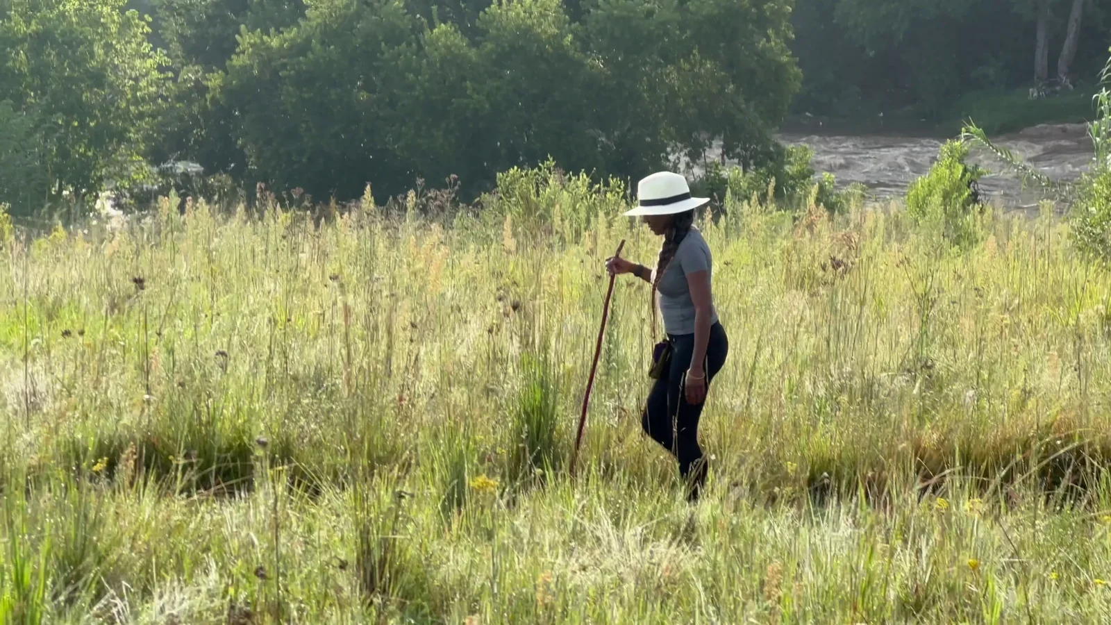 Highveld grassland biodiversity at Monaghan Farm